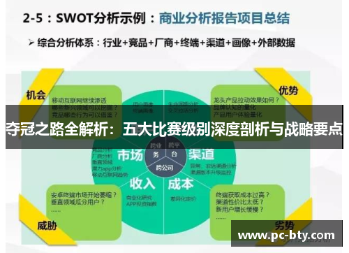 夺冠之路全解析：五大比赛级别深度剖析与战略要点