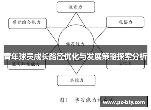 青年球员成长路径优化与发展策略探索分析